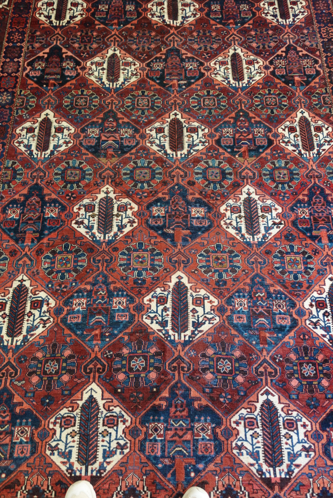 The Sabine Bakhtiari Vintage Rug