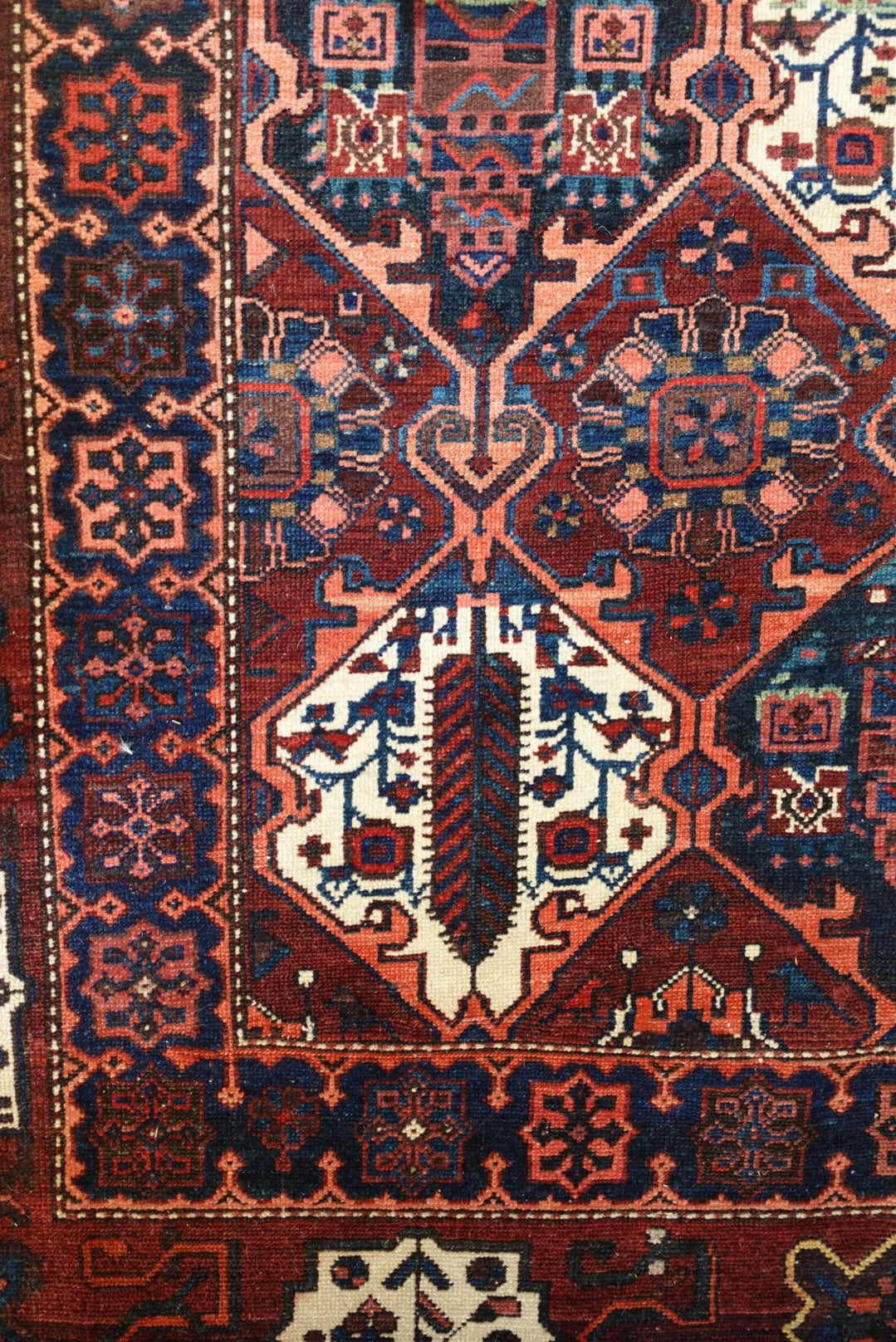 The Sabine Bakhtiari Vintage Rug